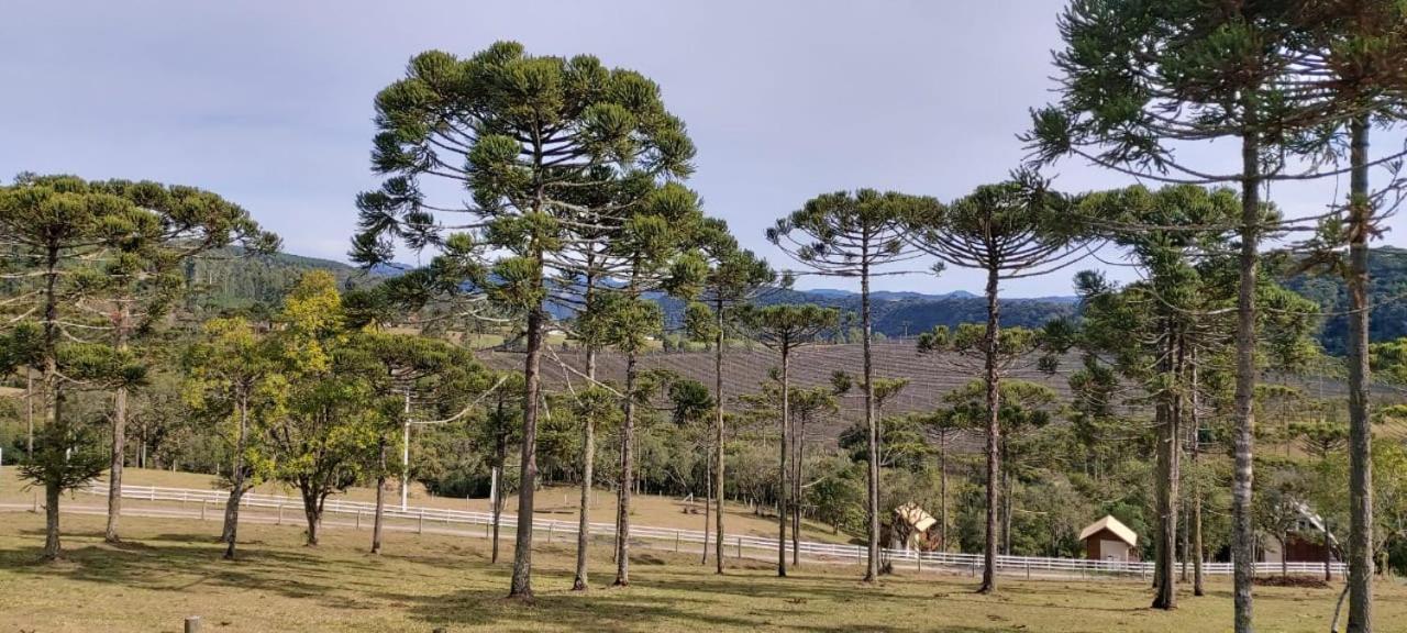 Chale Bienz - Hospedagem Rural Urubici Exteriör bild